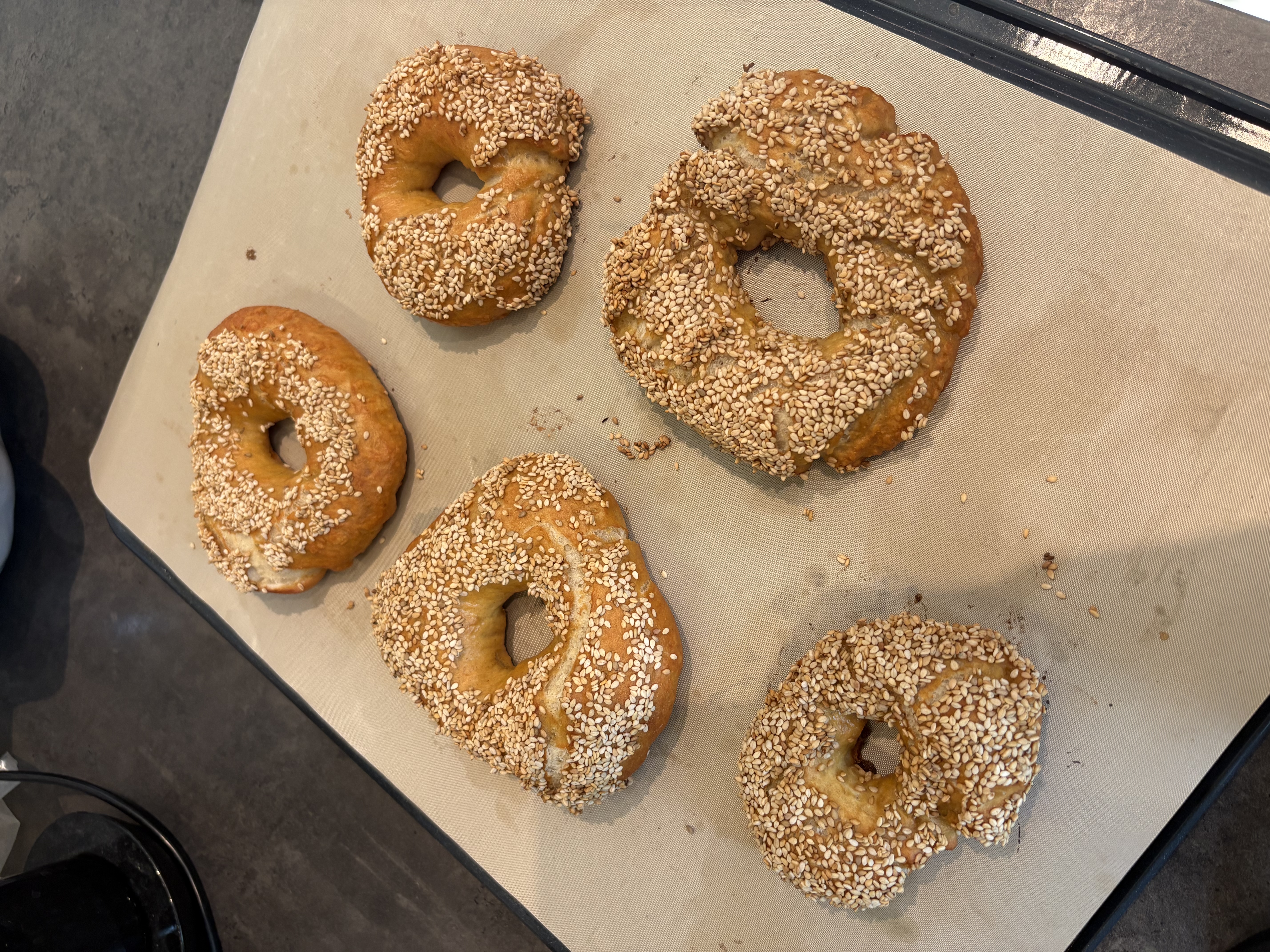 new york style bagels