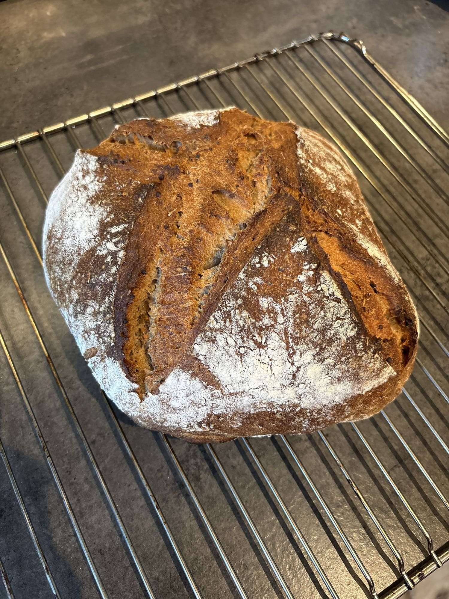 bierbrot koelner art